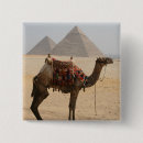 Search for camel badges Egypt