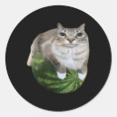 Search for murica stickers America