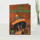 Search for doxies cards Dachshund