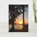Search for spanish moss Florida