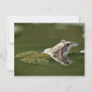 Search for sit postcards Animal