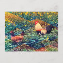 Search for easy postcards Life