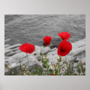 Search for white rock posters Seascape