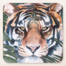 Search for jungles coasters Flowers