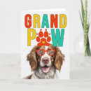 Search for funny springer spaniel Pets