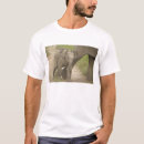 Search for young adult tshirts Endangered