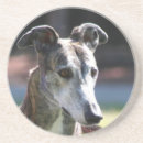 Search for greyhound dog coasters Pets