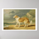 Search for rough posters Dogs