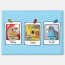 Search for bird lovers magnets Budgie