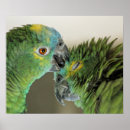 Search for amazons art Bird