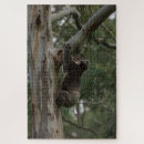 Search for koala puzzles Australia