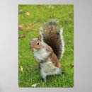 Search for fur tree posters Animals