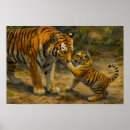 Search for tiger cub posters Tigers