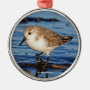 Search for sandpiper christmas tree decorations Shorebird