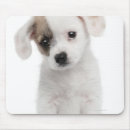 Search for animal crossing mousepads Nature