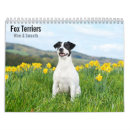 Search for fox calendars Wall