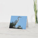 Search for florida pic cards Photography