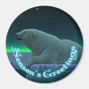 Search for seasons magnets Ice