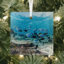 Search for scuba diving christmas tree decorations Underwater