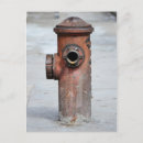 Search for são paulo postcards Brasil