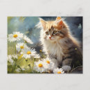 Search for fluffy kitten birthday cards Kitty
