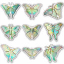 Search for moths stickers Blue