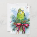 Search for parakeet christmas cards Budgie