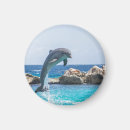 Search for saltwater magnets Ocean