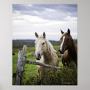 Search for from all posters Tranquil scene