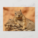 Search for ground postcards Cute