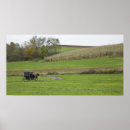 Search for buggies posters Equine