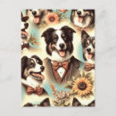 Search for border collie postcards Puppy