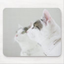 Search for mirror mousepads Horizontal