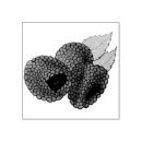 Search for fresh rubber stamps Garden