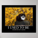 Search for ego posters Funny