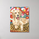 Search for dogs pet supplies Golden retriever