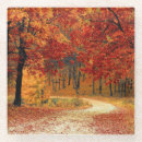 Search for tree coasters Fall