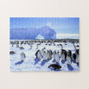 Search for antarctica puzzles Sea