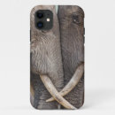 Search for shell universal iphone cases Barely
