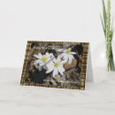 Search for sister in law birthday cards White