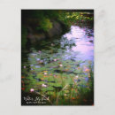 Search for pond postcards Water lily