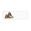 Search for basset hound return address labels Animal