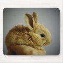 Search for brown rabbit mousepads Cute