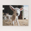 Search for lamb puzzles Farm