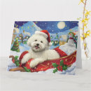 Search for bichon christmas cards Pet
