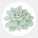 Search for green cactus stickers Watercolor