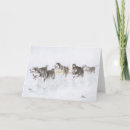 Search for malamute cards Alaskan
