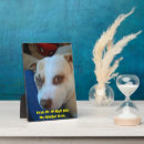 Search for photo easel Dog