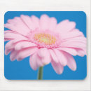 Search for gerbera mousepads Daisy