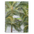 Search for palm tree photography Hawaii